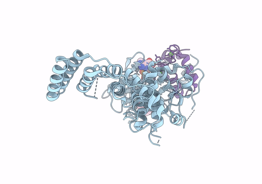 8GM4 image
