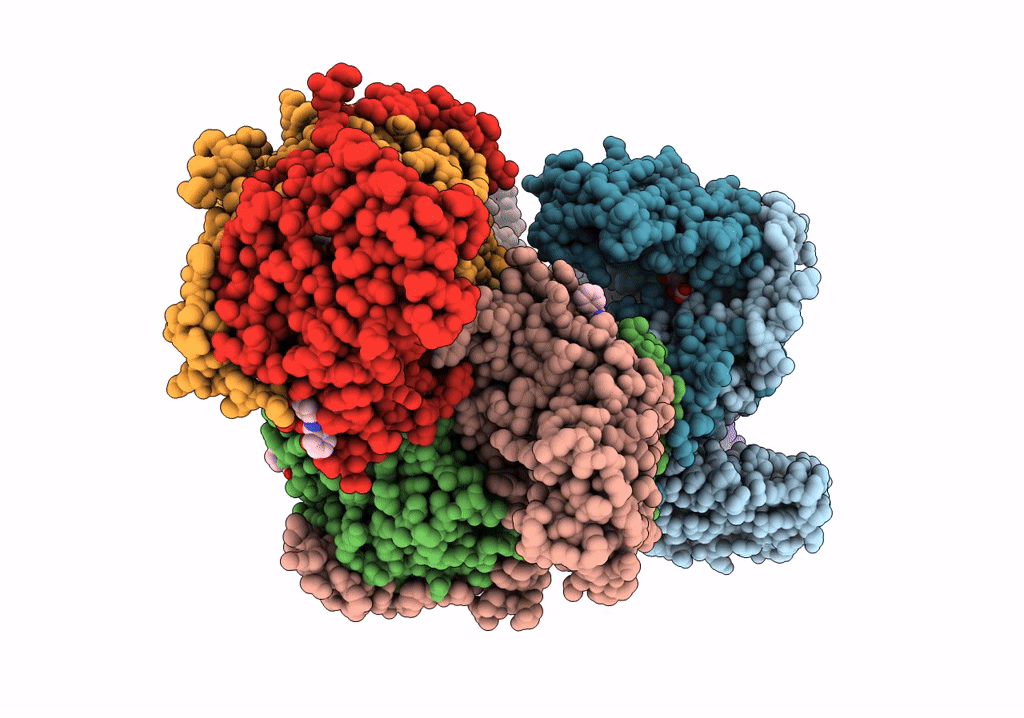 8GMI image