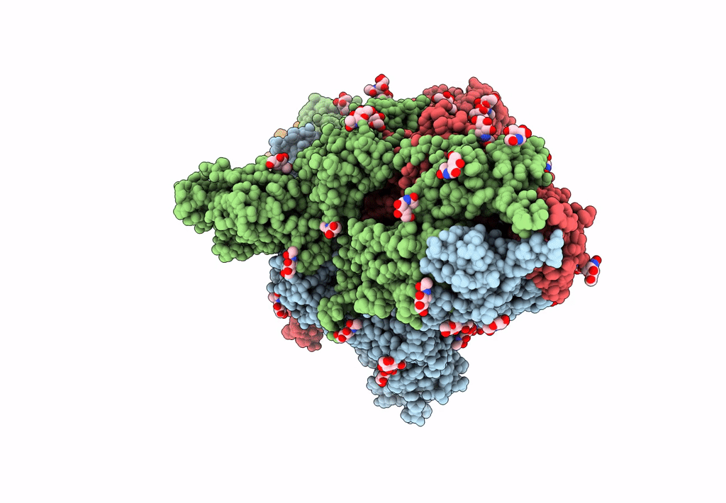 8GNH image