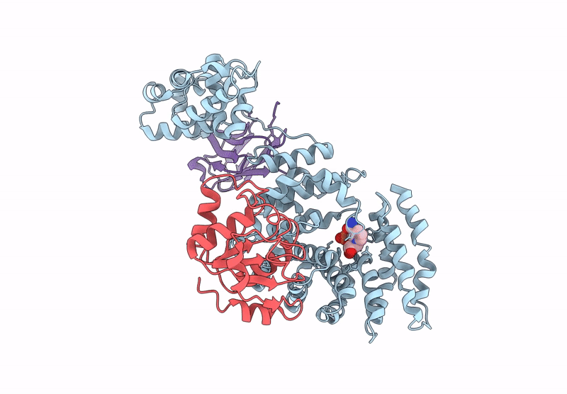 8GNJ image