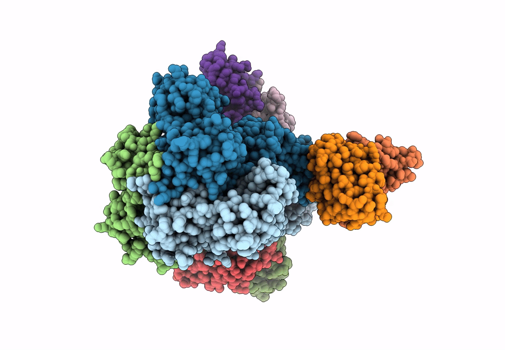 8GPT image
