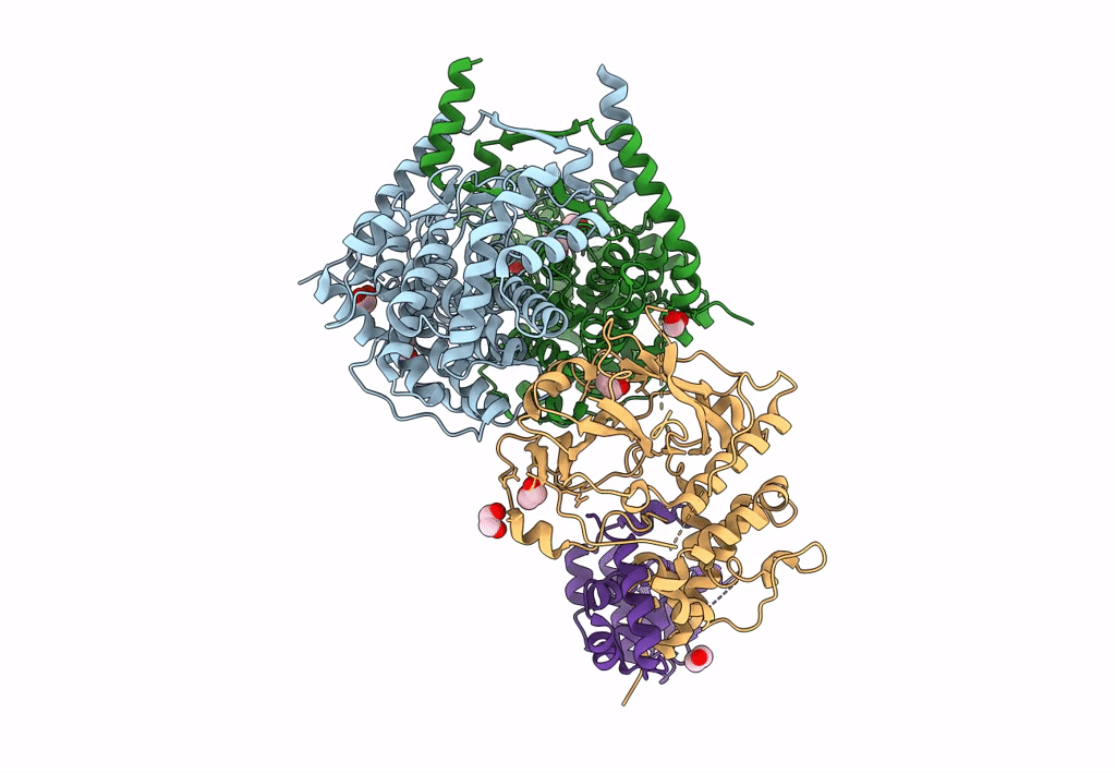 8GRF image