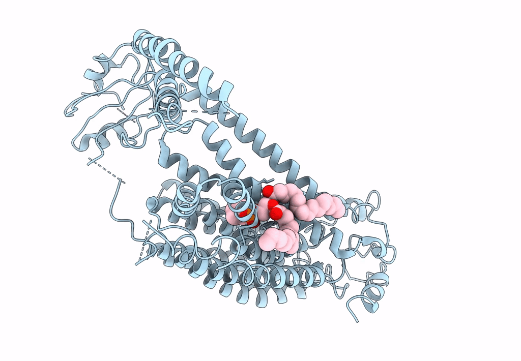 8GRS image