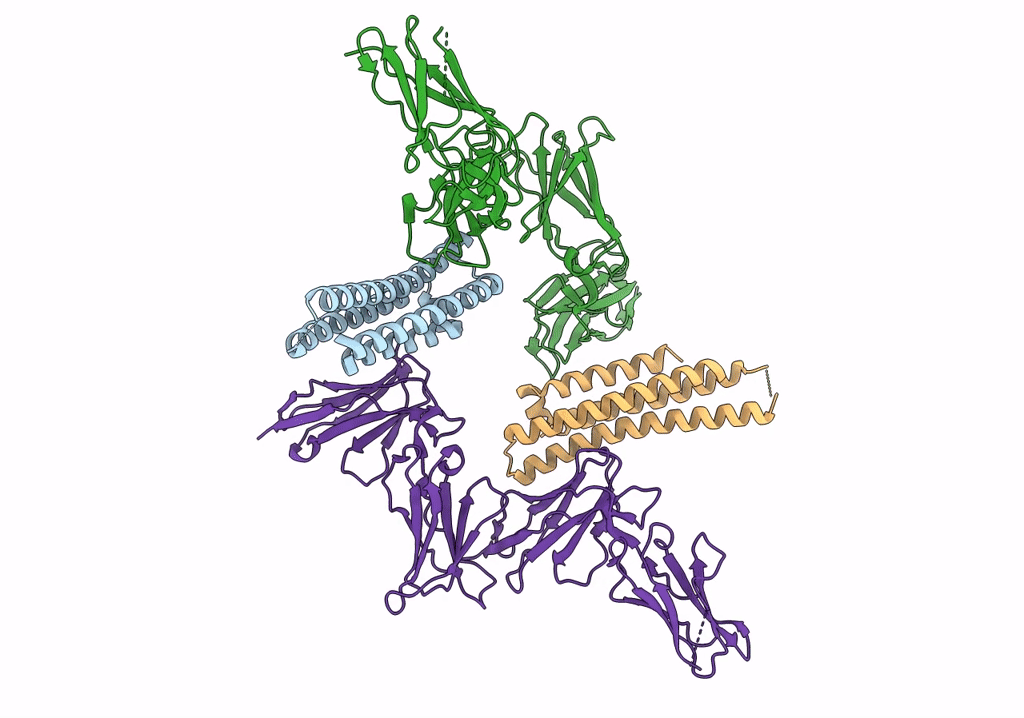 8GRX image
