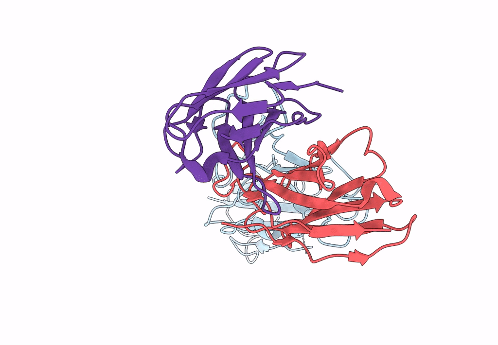 8GSB image