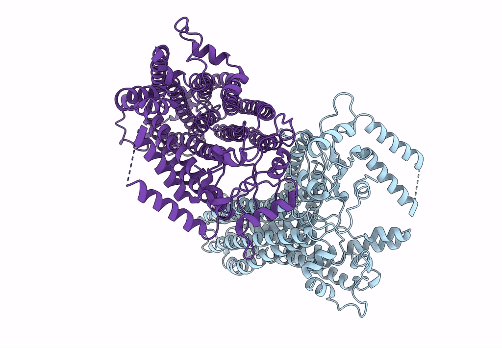 8GSO image