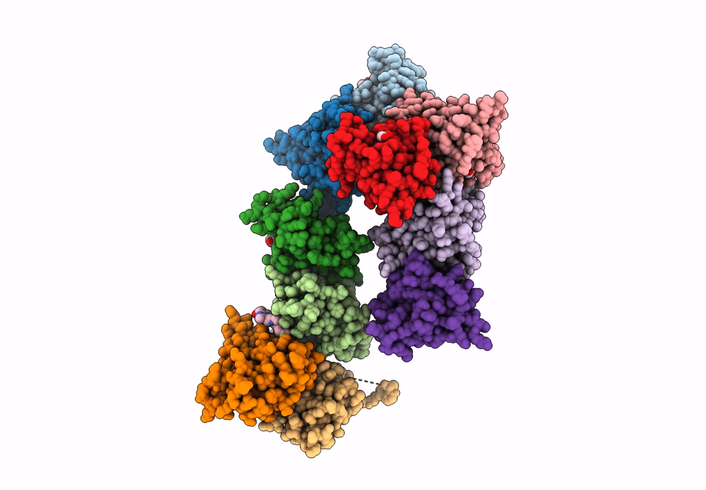 8GSQ image