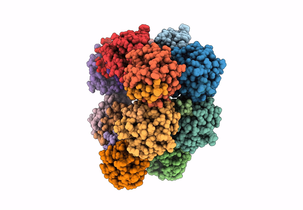 8GSV image