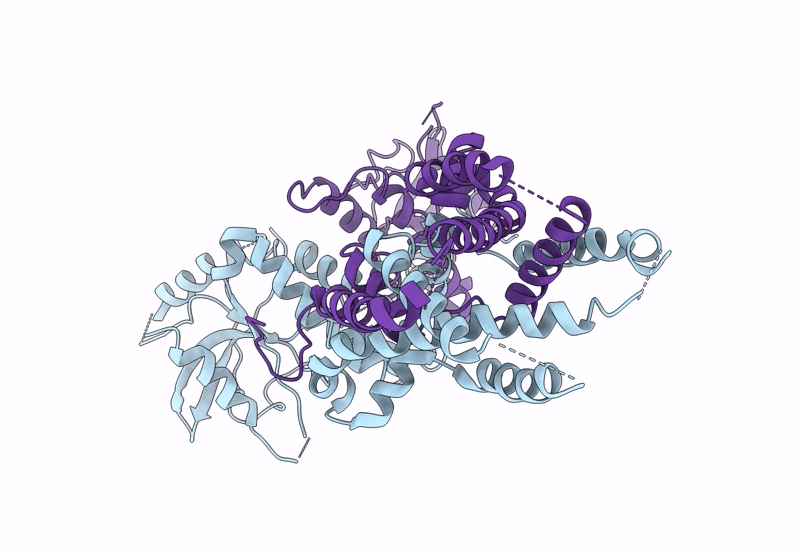 8GSZ image