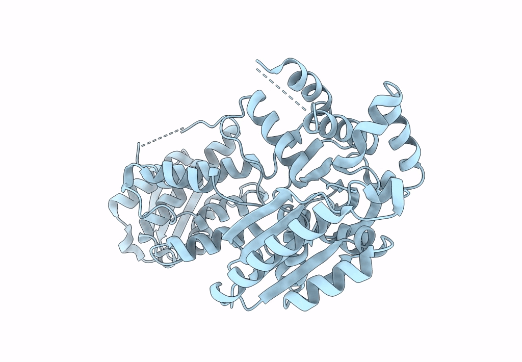 8GTZ image
