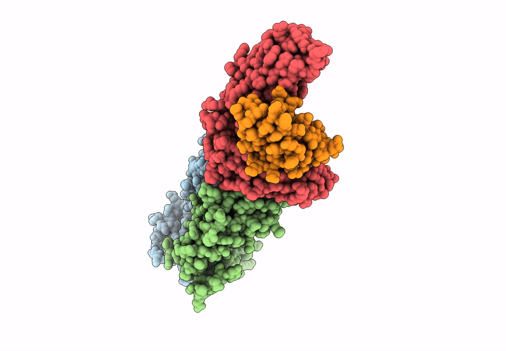 8GVB image