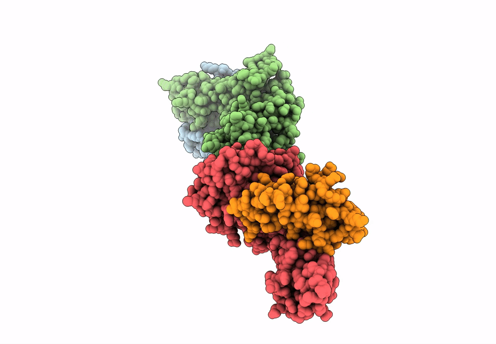 8GVI image