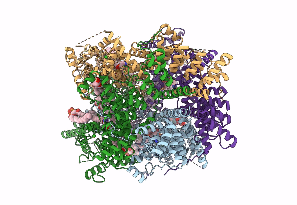 8GVW image