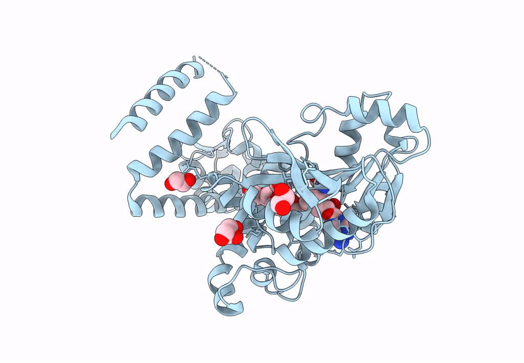 8GX4 image