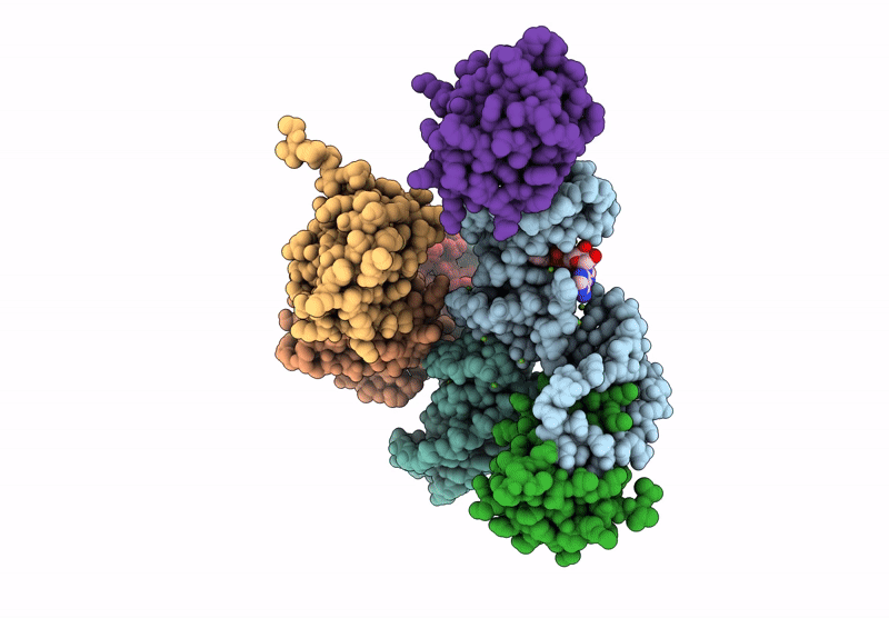 8GXB image