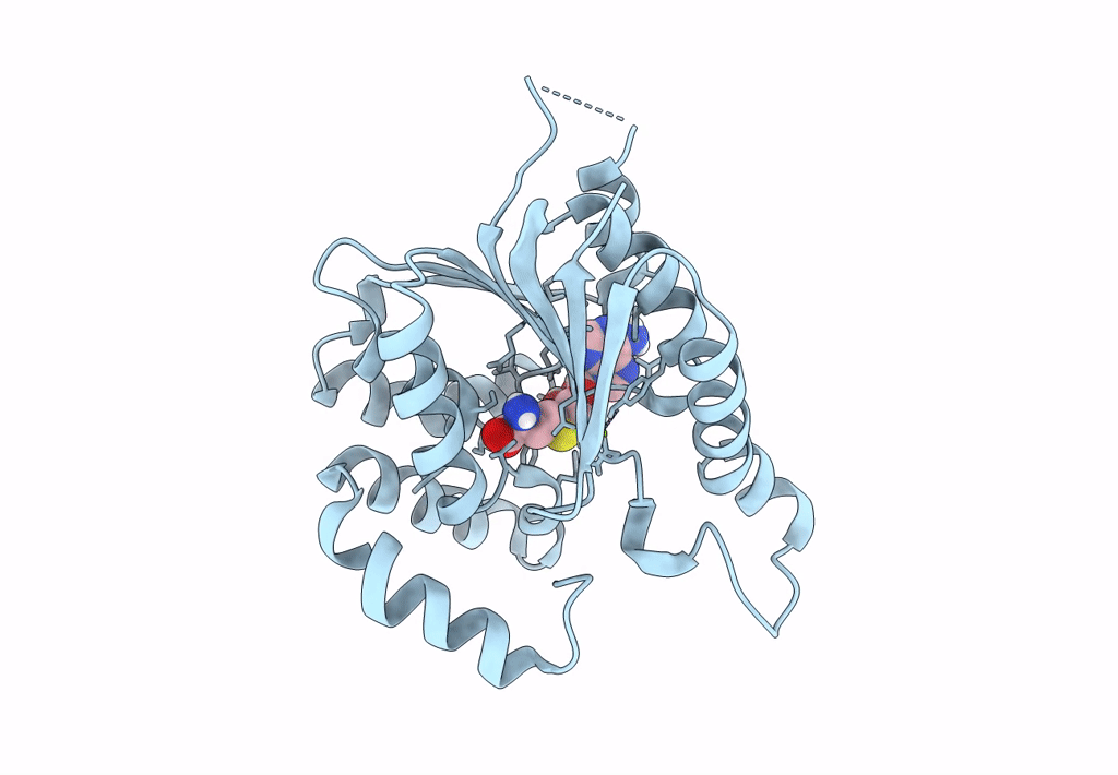 8GXN image