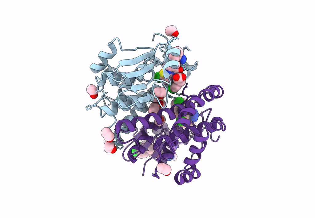 8GYD image