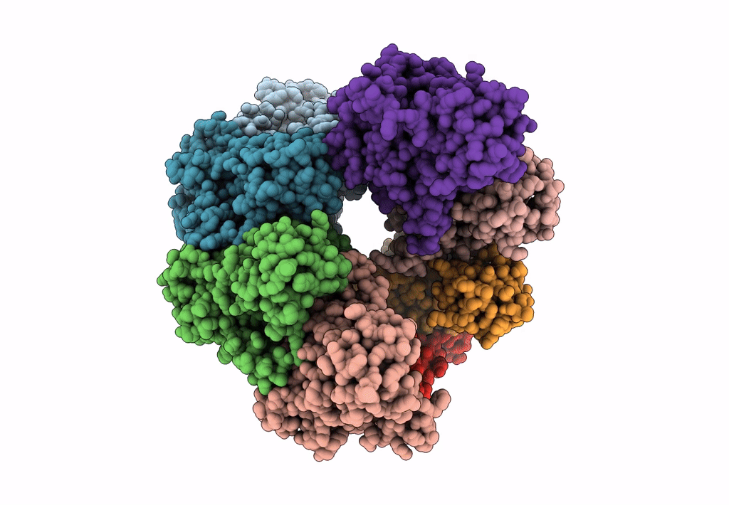 8GYK image