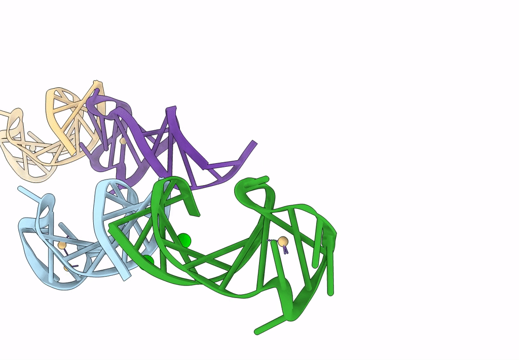8GZL image