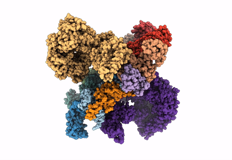 8GZN image