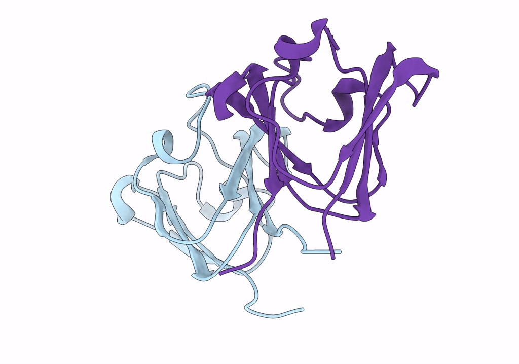 8H0R image