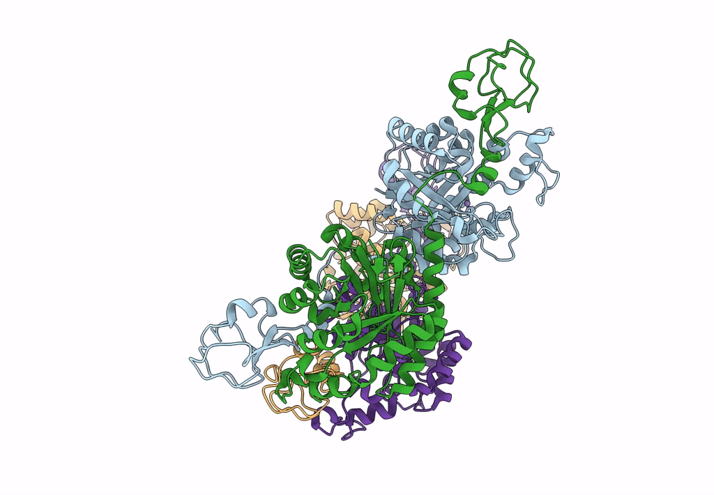 8H2C image