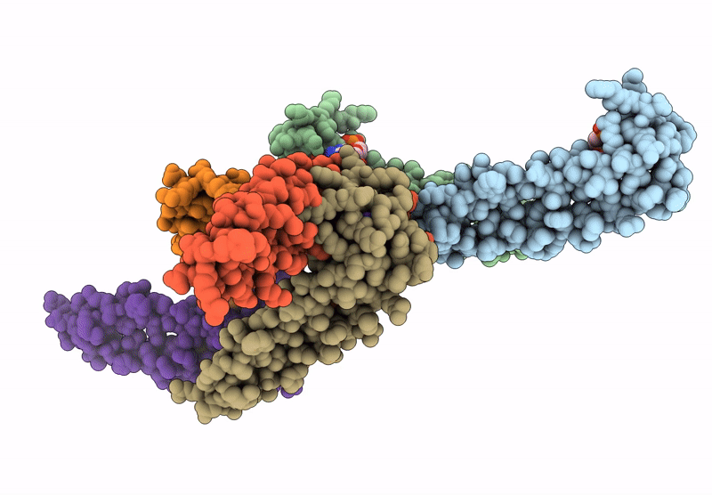 8H2J image