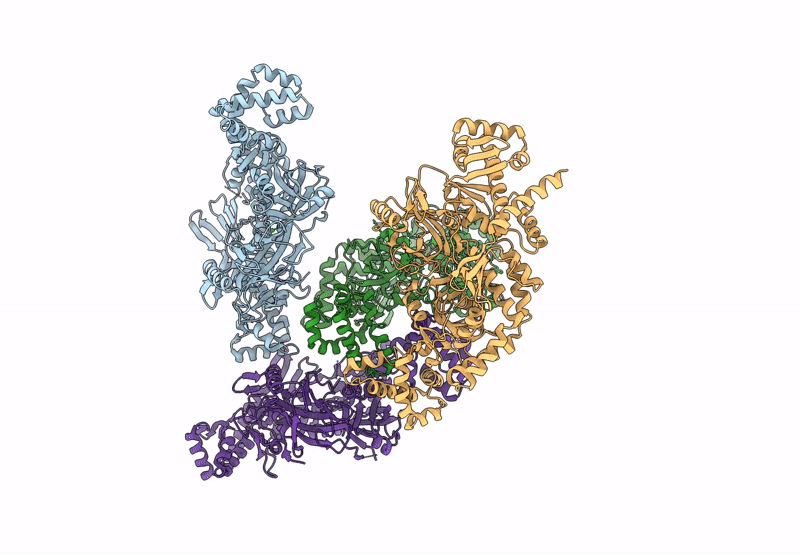 8H2N image