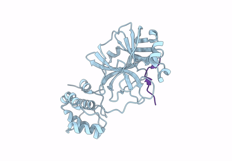 8H7K image