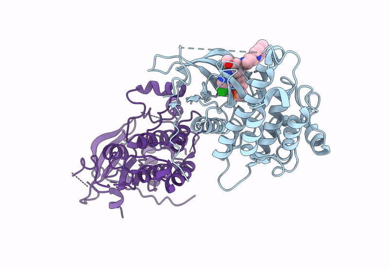 8H7X image