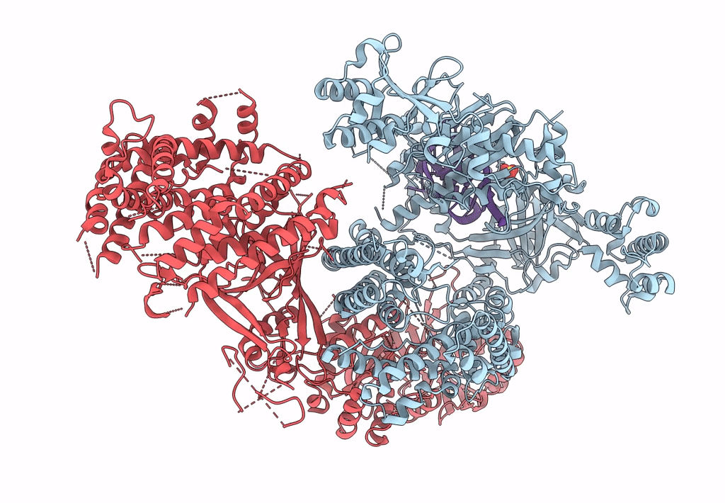 8H9D image