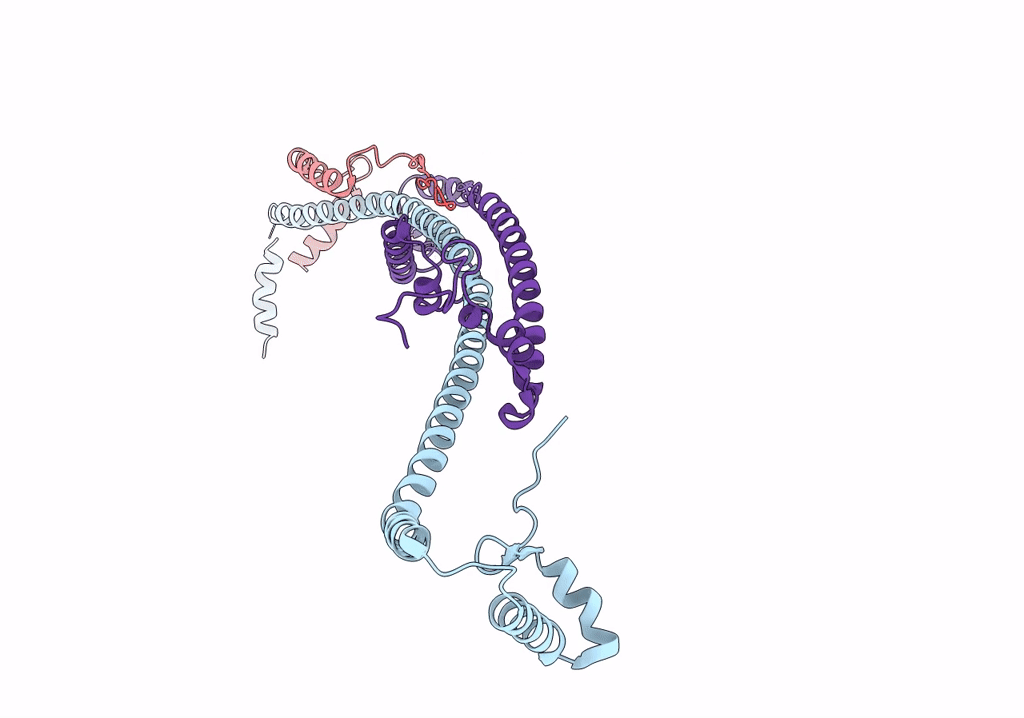 8H9G image