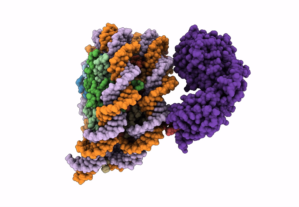 8HAK image