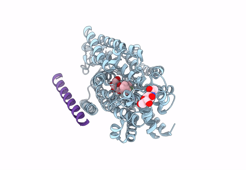 8HB0 image