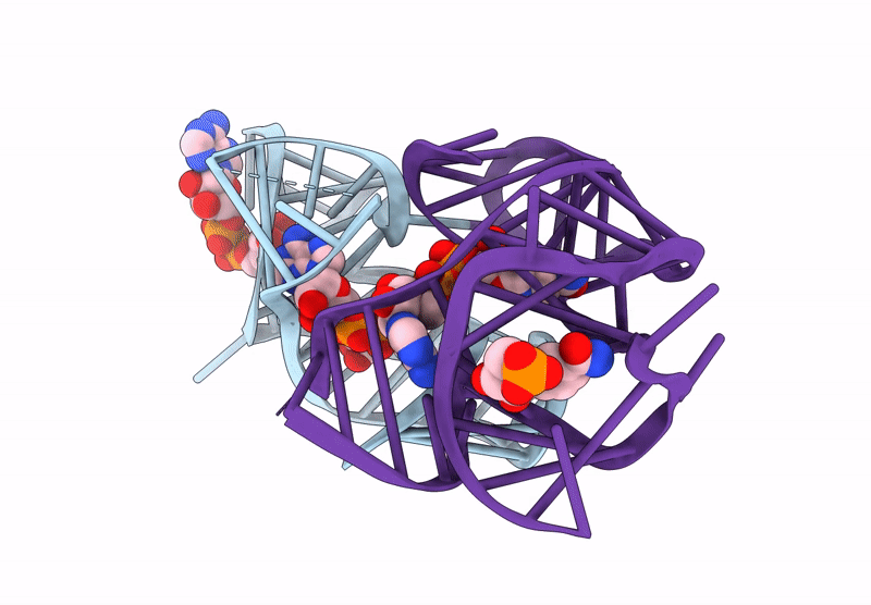 8HBA image
