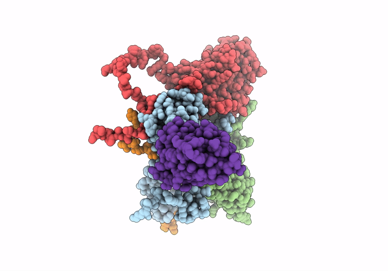 8HBI image