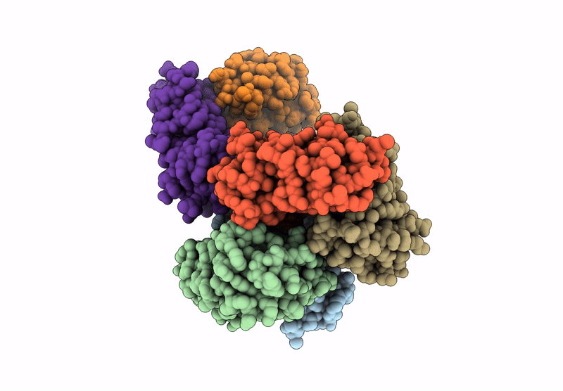 8HBR image