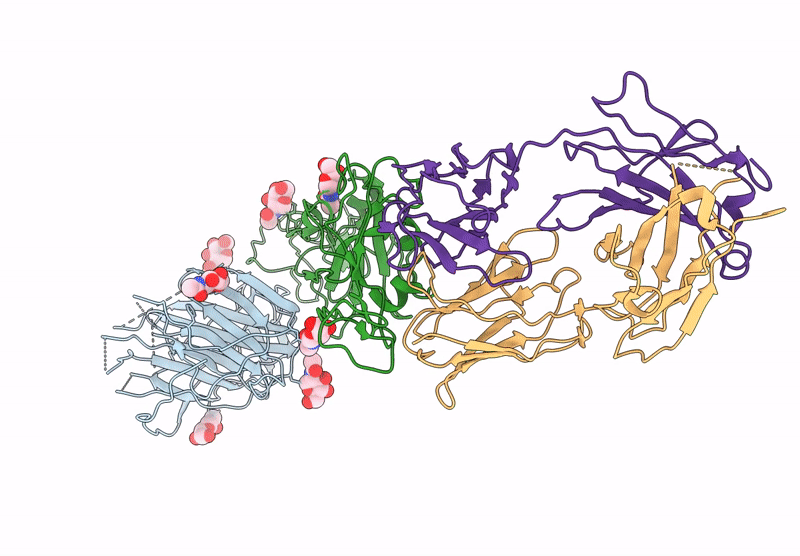 8HC6 image