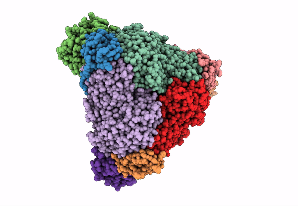 8HCN image