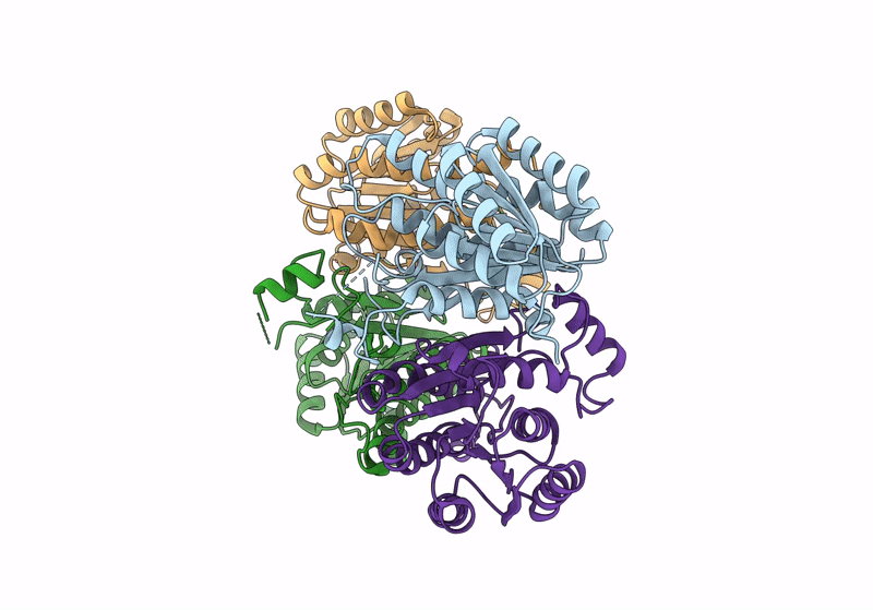 8HDI image