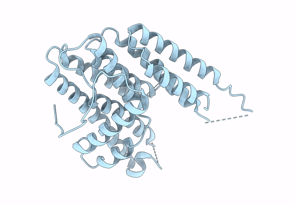 8HDL image