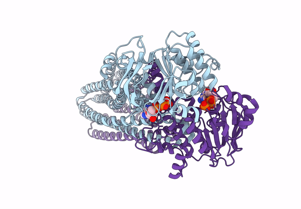 8HF6 image
