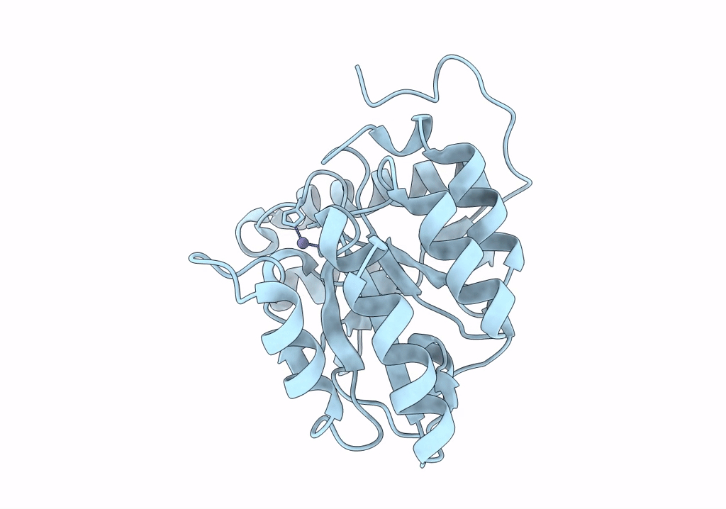 8HF9 image