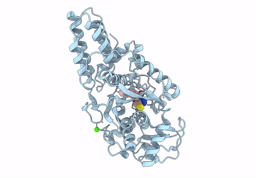 8HFO image