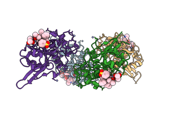 8HFV image