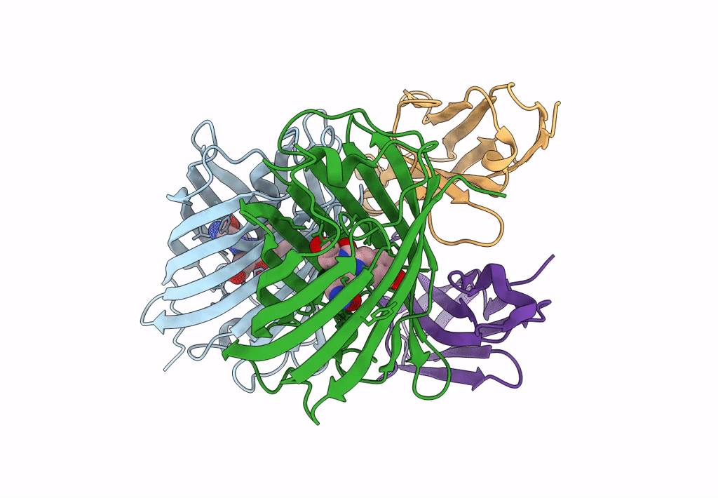 8HGI image