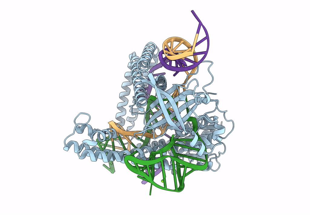 8HHL image