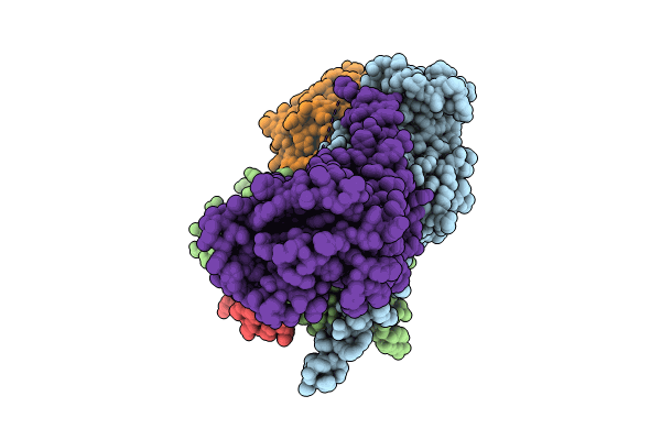8HJ1 image