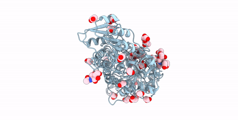 8HJ6 image