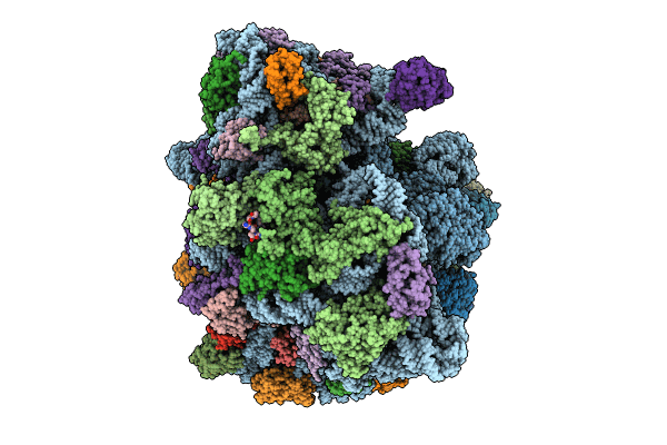 8HL1 image
